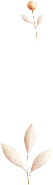 a white frame with a plant growing out of it.jpg